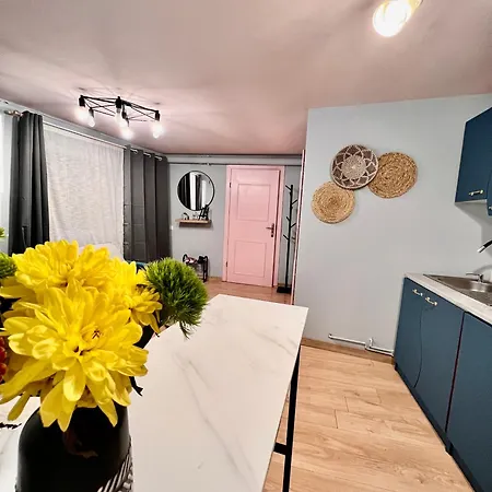 Old Town Center Apartment *
